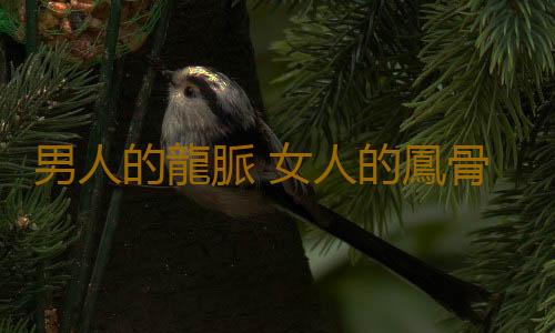 男人的龍脈 女人的鳳骨！