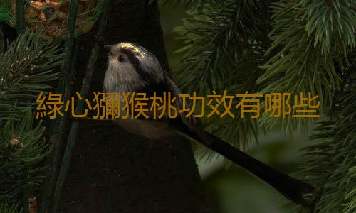 綠心獼猴桃功效有哪些