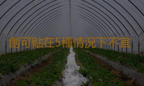 創可貼在5種情況下不宜使用