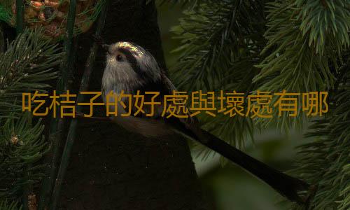 吃桔子的好處與壞處有哪些