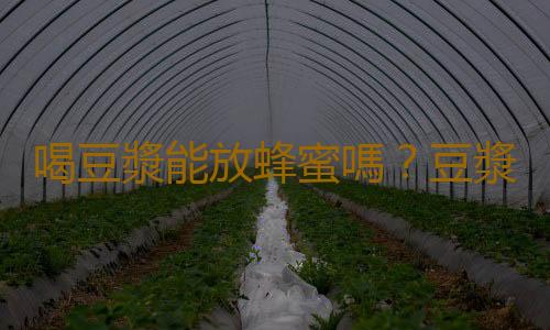 喝豆漿能放蜂蜜嗎？豆漿和蜂蜜能一起吃嗎