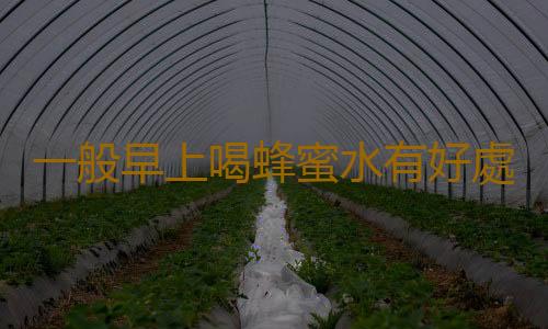 一般早上喝蜂蜜水有好處嗎