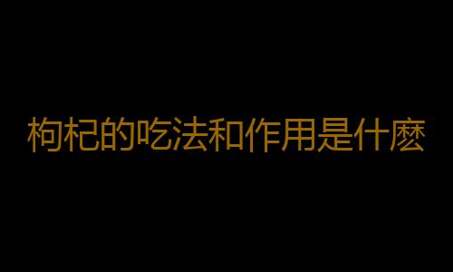 枸杞的吃法和作用是什麽