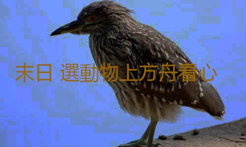 末日 選動物上方舟看心理狀態