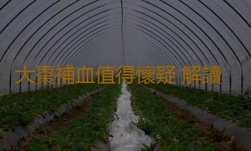 大棗補血值得懷疑 解讀吃棗四個嚴重誤會