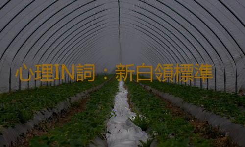 心理IN詞：新白領標準 是什麽意思