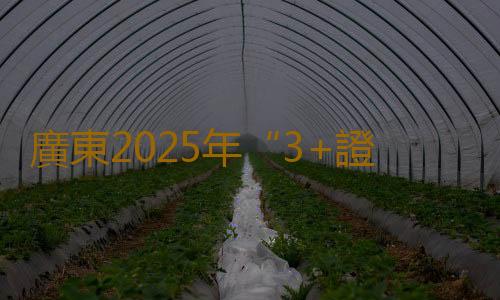 廣東2025年“3+證書”考試、依學考錄取工作安排發布 2025年各院校兩項考試招生計劃數不少於2024年