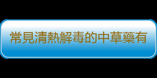 常見清熱解毒的中草藥有哪些