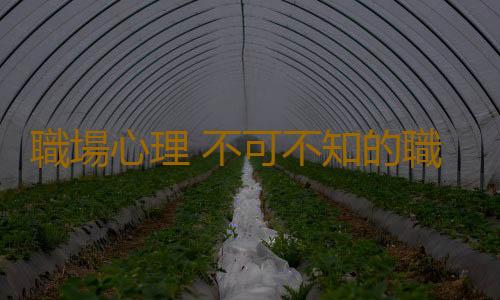 職場心理 不可不知的職場小人