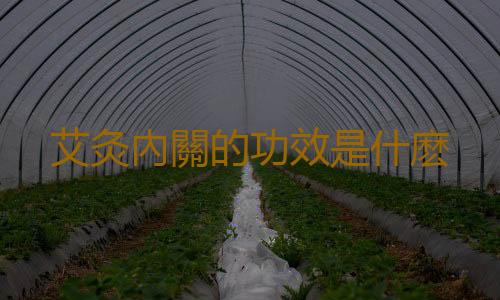 艾灸內關的功效是什麽