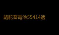 駱駝蓄電池55414適用桑塔納2000/3000老捷達紅旗汽車電瓶54AH