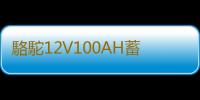 駱駝12V100AH蓄電池貨車三輪拖拉機柴油車發電機低溫強勁汽車電瓶