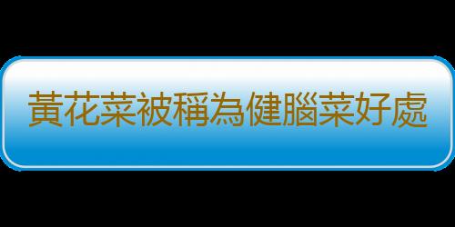 黃花菜被稱為健腦菜好處多多 但吃不對或會引起中毒